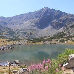 Meet your Posher, Nikol